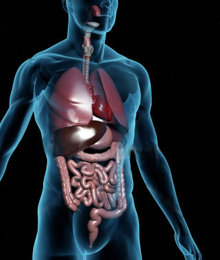 5 Proven Ways to Raise Your Metabolism for Weight Loss