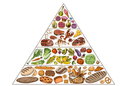 A Nutrition and Balanced Diet