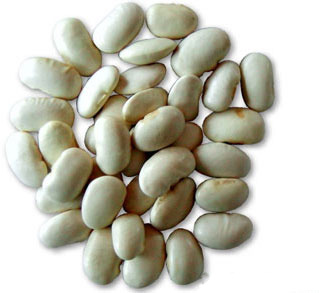 Can White Bean Extract Help?