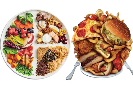 Choosing Your Diet Plan