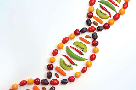 Genetics and Weight Loss